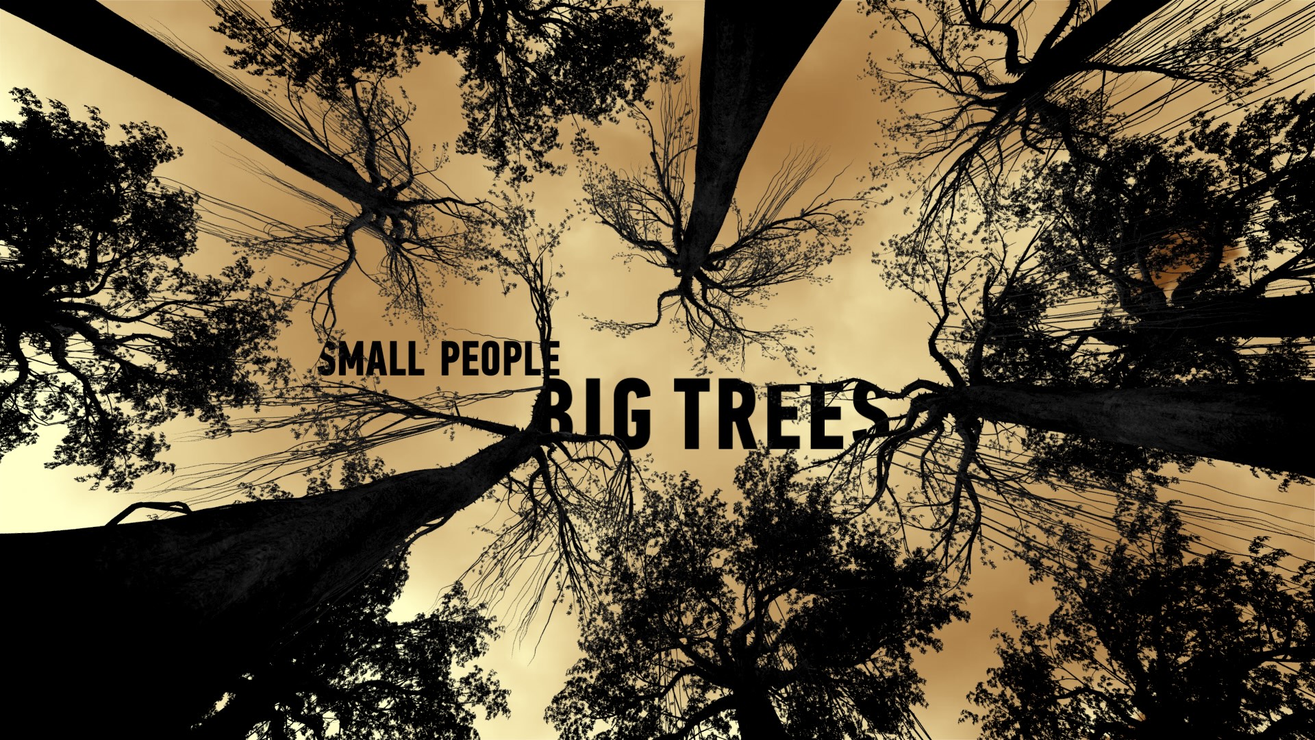 Special screening of the Documentary "Small People Big Trees"